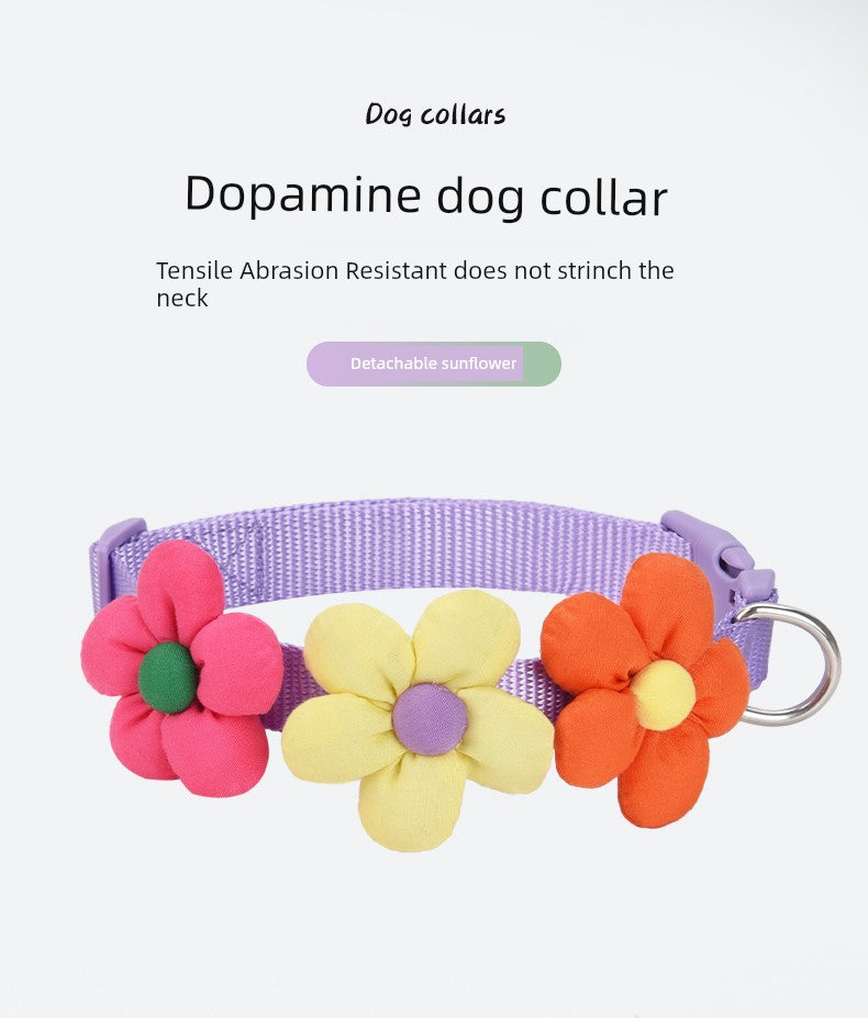 Solid SUNFLOWER Dog Collar