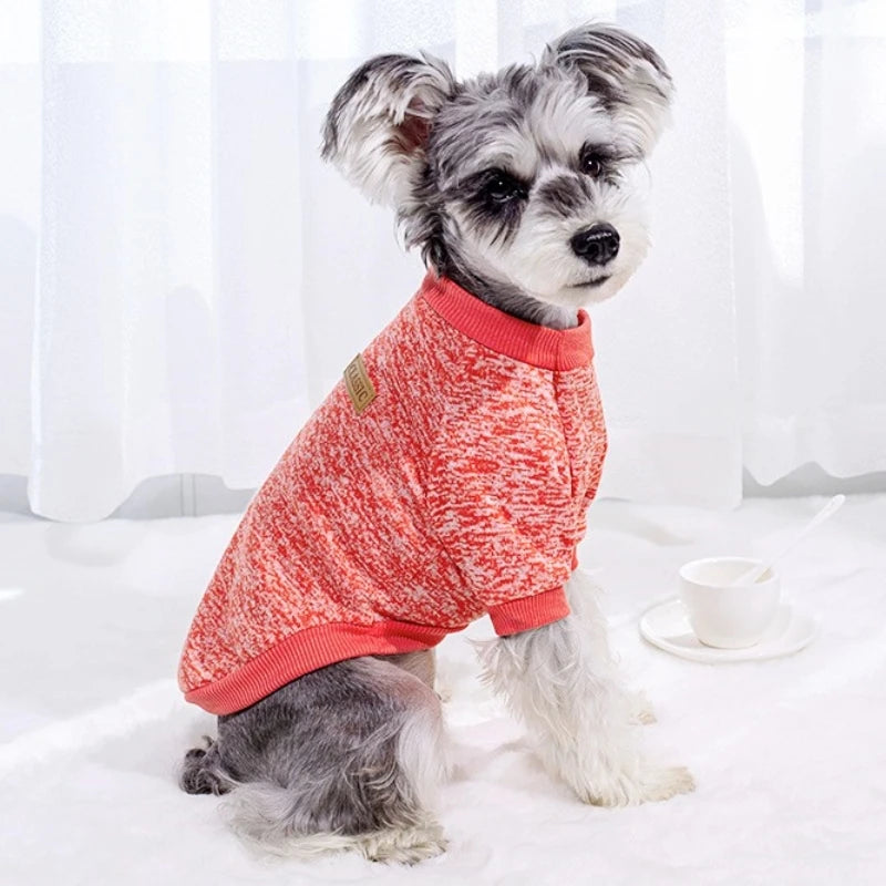 Fashion Dog Hoodies Autumn Dog Pullovers Cute Puppy Hoodies Warm Cat Sweatshirt Pet Outfits Chihuahua French Bulldog Dog Clothes