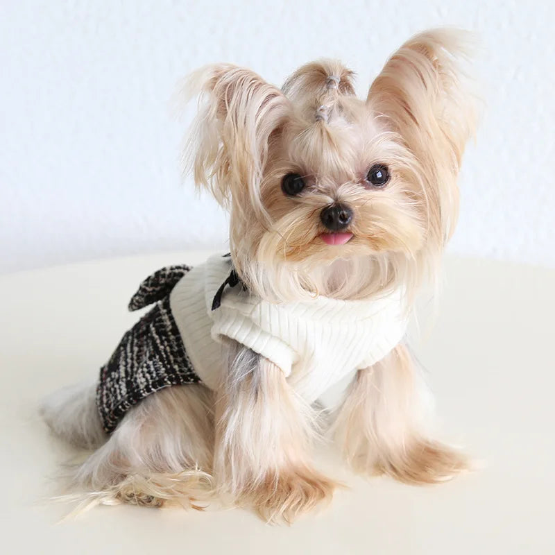 Pet Autumn and Winter Knitted Patchwork Coarse Woolen Dress New Woolen Dress Dog and Cat Clothing Puppy Clothes for Small Dogs