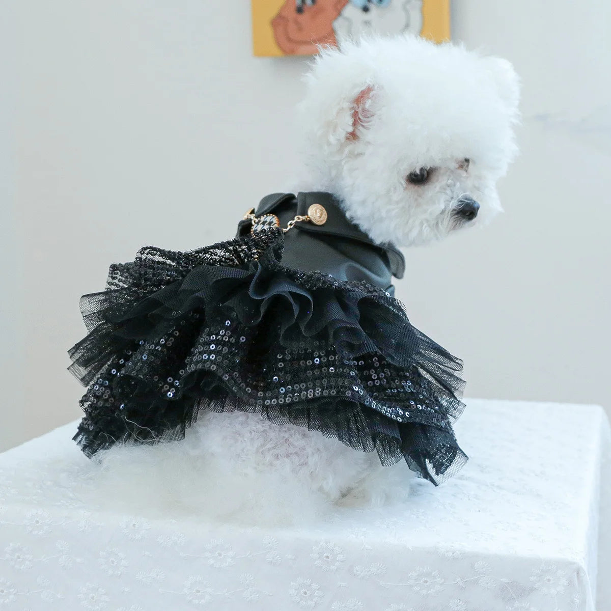 Autumn punk sequin leather Dog Clothing  princess pet dress less dog dress for small to medium dog  Chihuahua Yorkies Dress