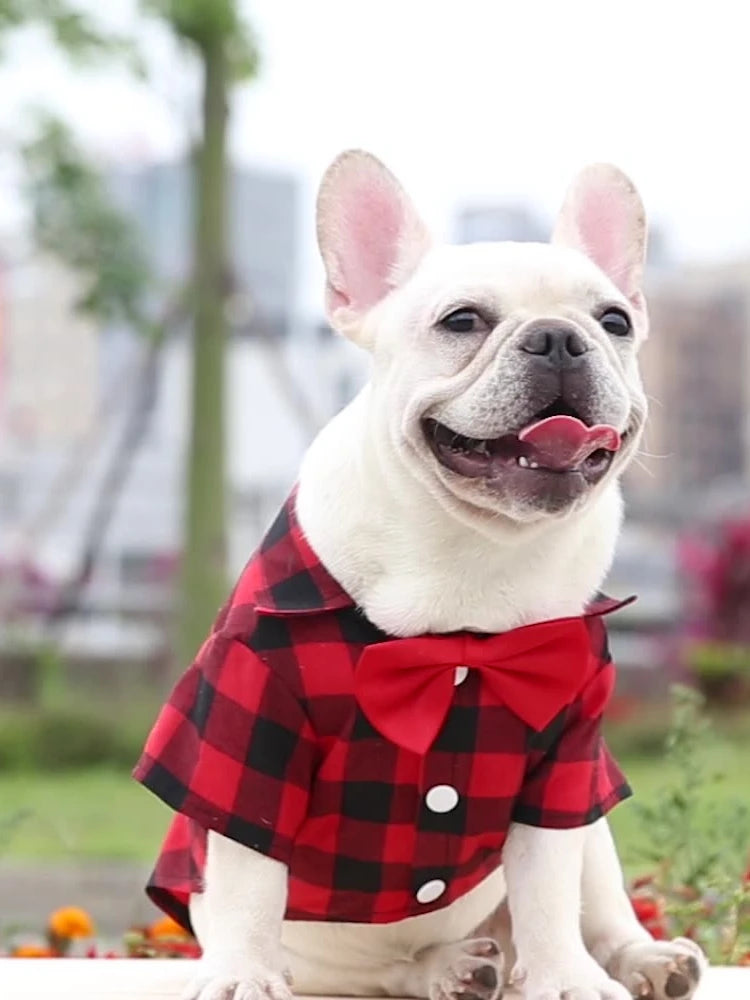 T-shirts classiques pour chiens avec nœud papillon et carreaux - Vêtements d'été fins et respirants pour petits et grands chiens - Chihuahua, chiot, chat - Gilet pour yorkshire