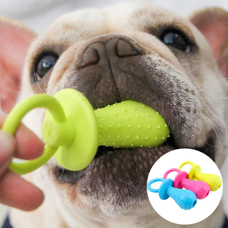 Jouets pour animaux de compagnie pour petits chiens en caoutchouc résistant aux morsures, jouets pour chiens, nettoyage des dents, jouets d'entraînement à la mastication, fournitures pour animaux de compagnie, chiots et chiens