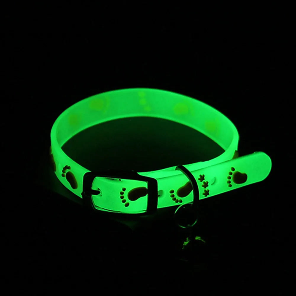 Collier lumineux pour chat - Collier lumineux pour petit chien et chat - Anti-perte - En silicone - Fluorescent - Clochette pour chat - Anneau de cou - Accessoires pour animaux de compagnie