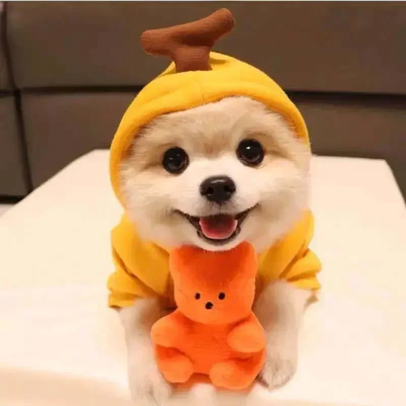 Cute Fruit Dog Clothes Reindeer Small Dogs Hoodies Warm Pet Clothing Puppy Cat Costume Coat Chihuahua Mouse Cheese Jacket Suit