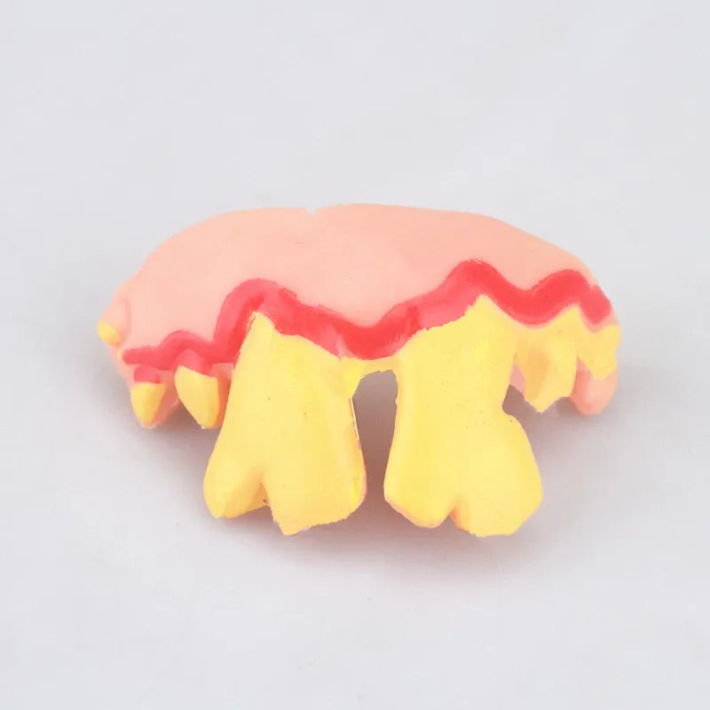 False Teeth For Dog Funny Dentures Pet Decorating Supplies Halloween Cosplay Humans And Vampires Toys Tricky Funny Dentures