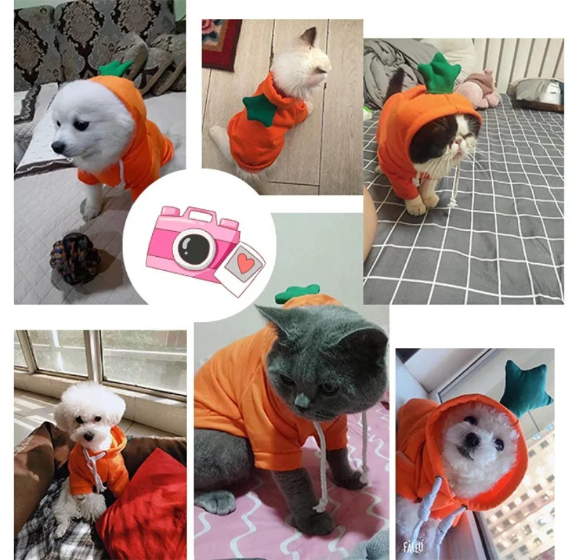 Cute Fruit Dog Clothes Reindeer Small Dogs Hoodies Warm Pet Clothing Puppy Cat Costume Coat Chihuahua Mouse Cheese Jacket Suit