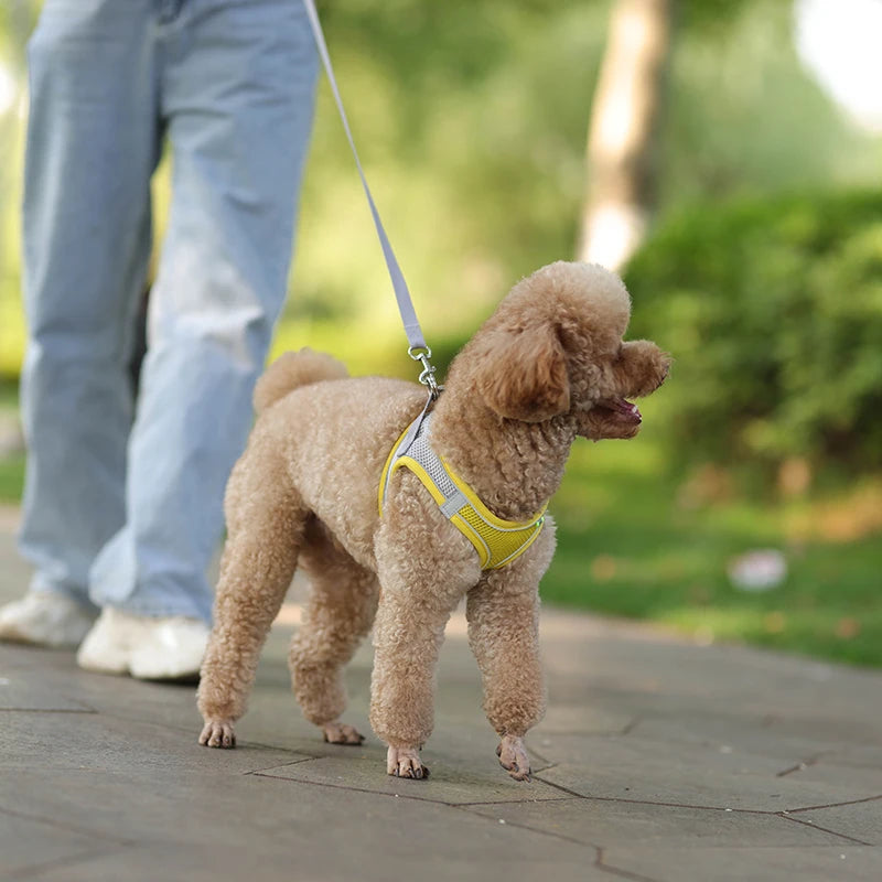 Arnés y correa para perros pequeños, ajustable, para cachorros, gatos, bulldog francés, chihuahua, pug, correa para caminar al aire libre