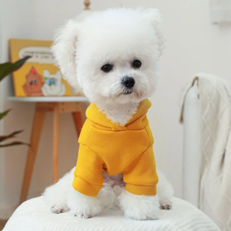 Pet Dog Clothes for Small Medium Dogs Winter Warm Dog Hoodie Letter Print Puppy Pullover Pet Sweatshirt Bichon Frise Dog Clothes