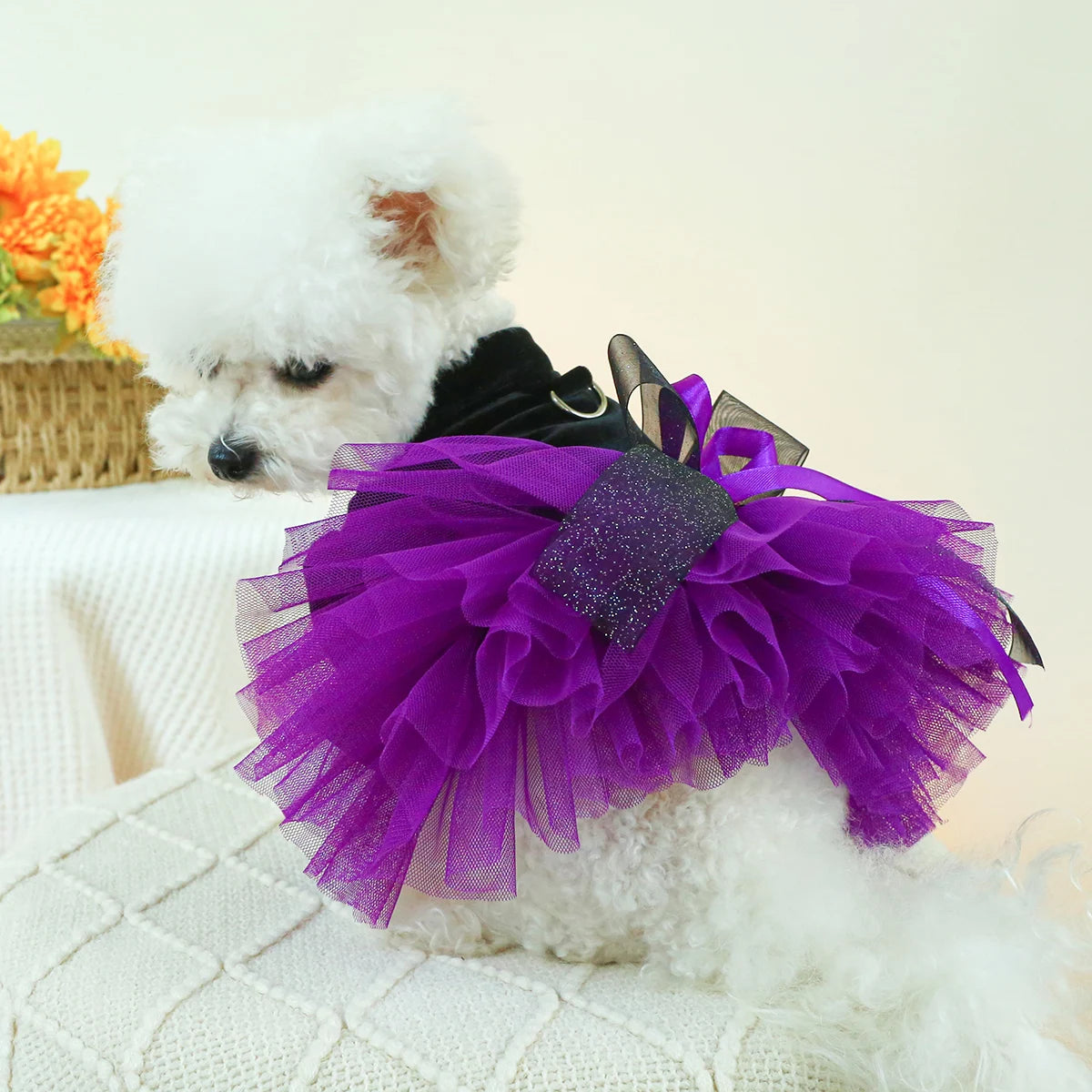 1PC Pet Clothing Dog Autumn Winter Black Velvet Purple Princess Wedding Dress Dress With Drawstring Buckle For Small Medium Dogs