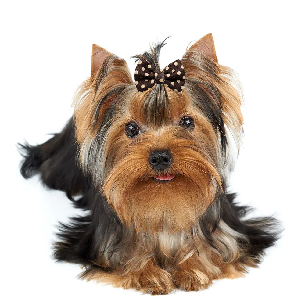 10PCS Winter Dog Bows Puppy Cat Flower Bowknot Rubber Bands for Dogs Fashion Pet Hair Decorate Dog Grooming Accesories