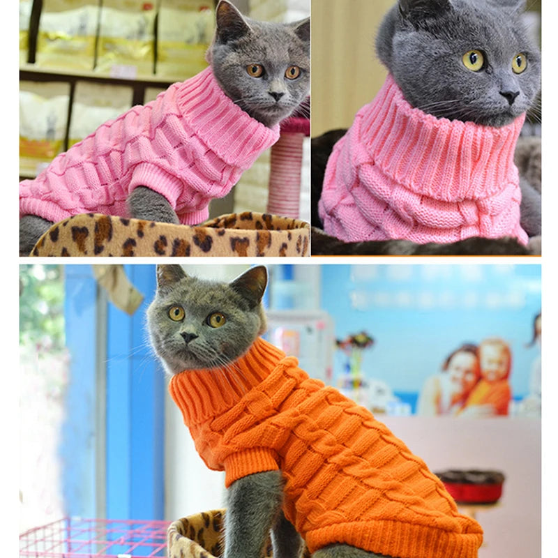 Cat Clothes for Pet Cats Clothing for Pets Sweater Pet Dog Clothes for Cats Dogs Kitty Outfit Pure T Shirt Dog Coat Vest Costume