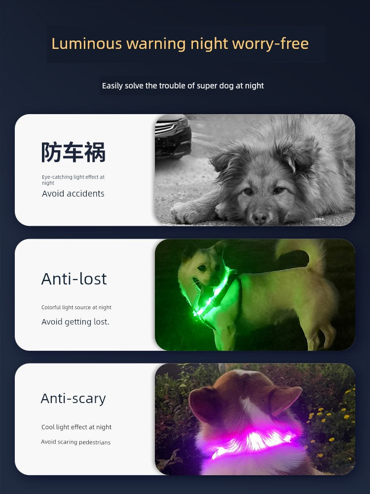 Luminous Night Running Light Big and Small Dogs Anti-Lost Dog