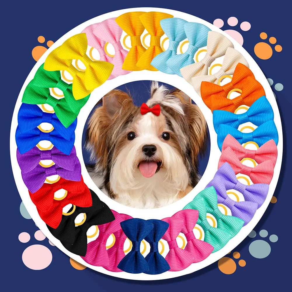 10/20/30PCS Pet Grooming Hair Bows Puppy Mix Colours Decorate Hair Accessories for Small Dog Hair Rubber Bands Dog Supplier