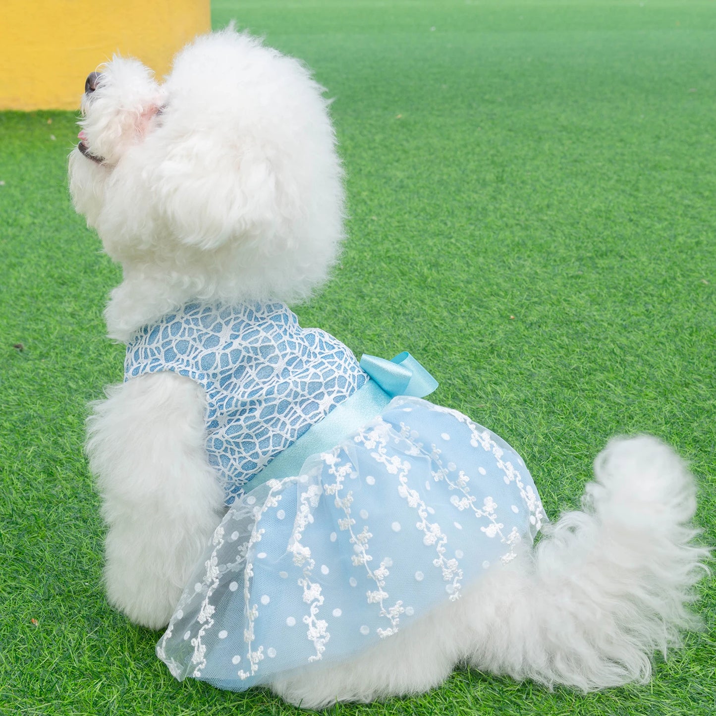 U Pick CuteBone Girl Puppy Dog Dress Fashion Dog Skirt Outfit Popular Pet Clothes Gift for Small Dogs