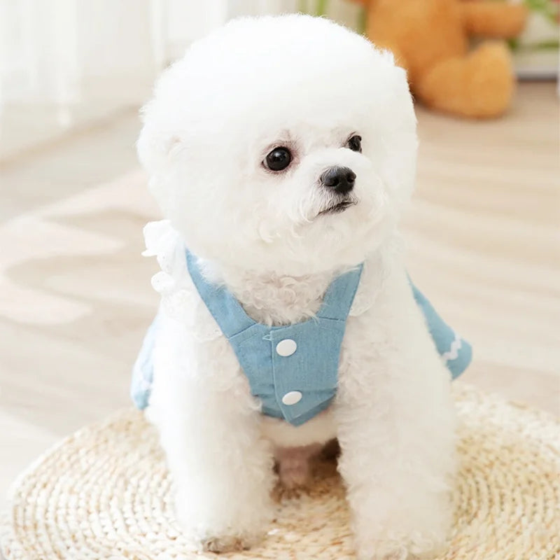 Princess Style Dog Dress Pet Denim Dog Skirt for Small Dog Summer Puppy Wedding Dress Cat Suspender Skirt Chihuahua Dog Clothes