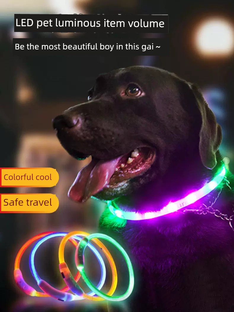 Luminous Circle Small Size Dogs Pet Dog