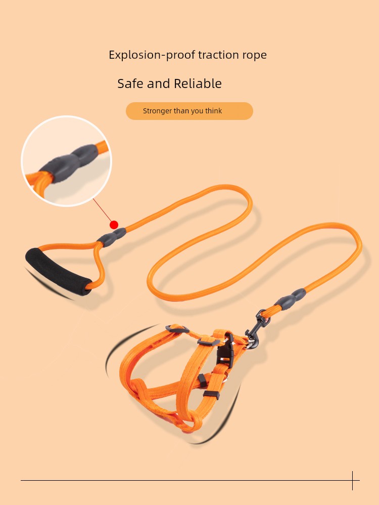 Harness and Leash for Small to Medium Sized Dogs