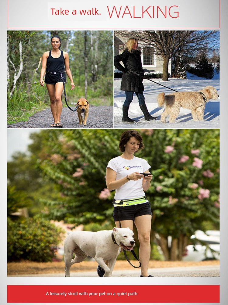 Running Dog Leash Belt for Walking Dogs