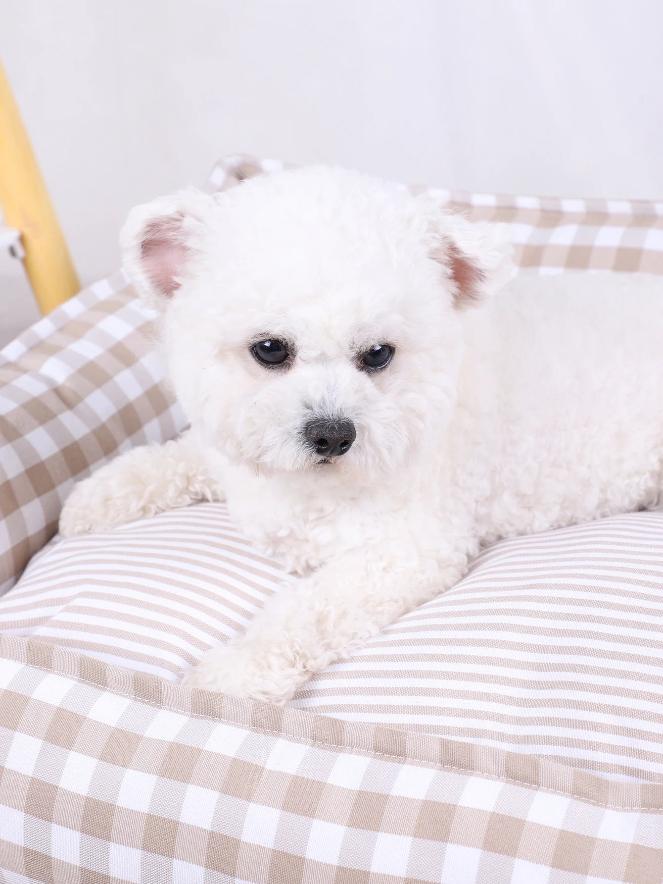 Dog Beds for Small Dogs Plaid Bed Pet Supplies Accessory Sofa Cushions Big Large Puppy Accessories Blanket Cats Baskets Pets Mat