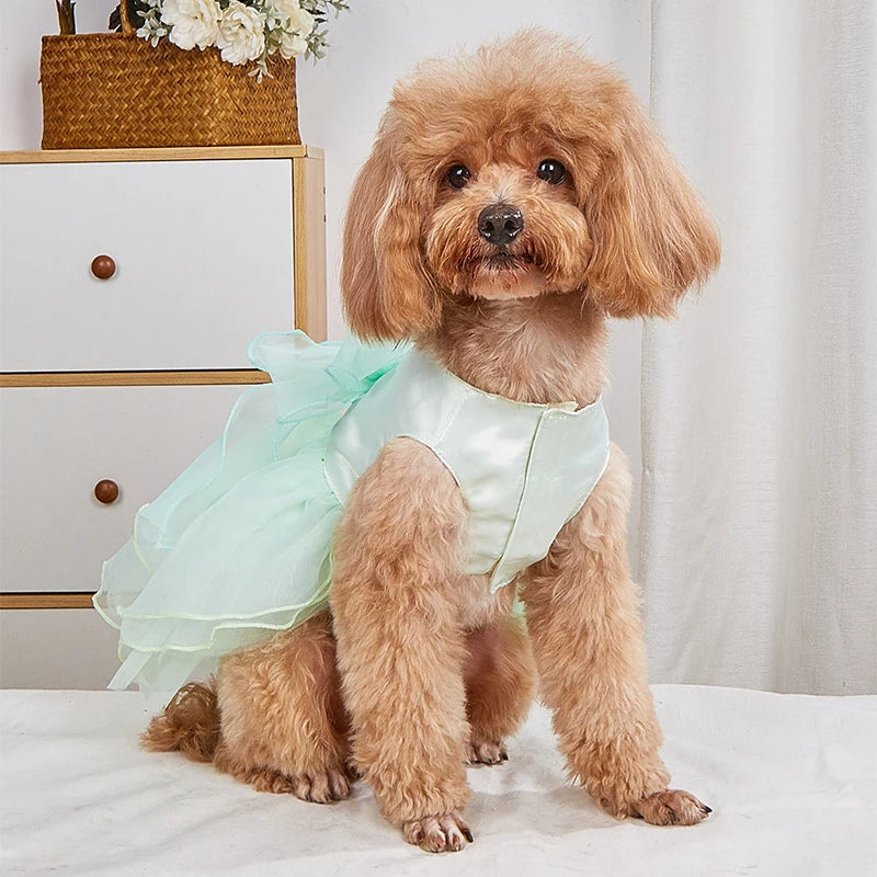 Luxury Dog Clothes Wedding Dress Prom Party Princess Dresses for Small Dogs Puppy Cat Costume White Pet Supplies New