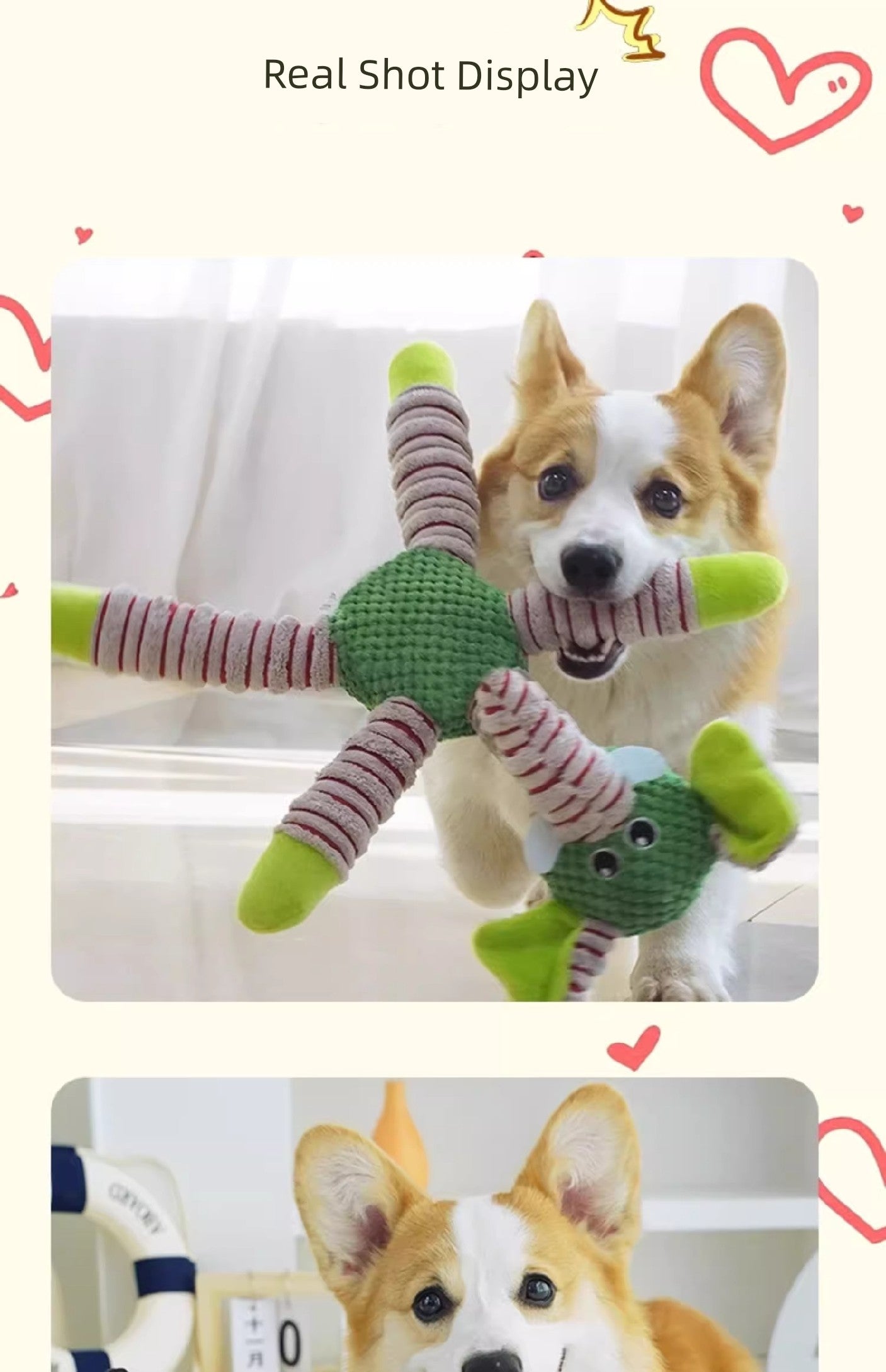 Doll Teddy Handy Gadget Dog Training Puzzle Pet Dog