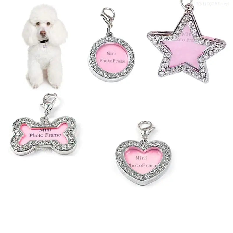 Pet Tag for Dogs or Cats