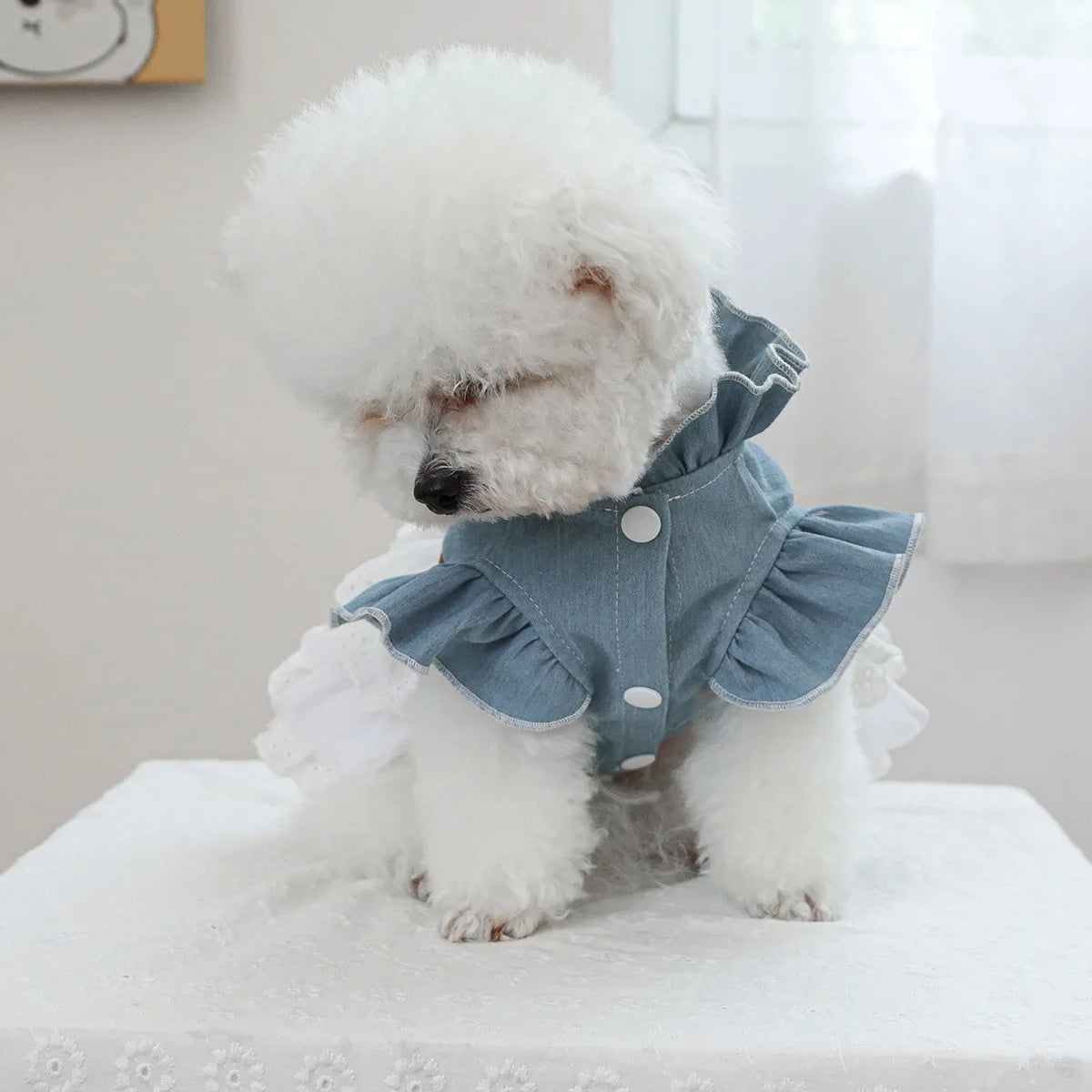 Pet Cowboy Lace Coat for Dogs Cats Ponds Dresses Cute Cowboy Skirts Dog Dresses for Small Dogs Puppy Clothes for Small Dogs