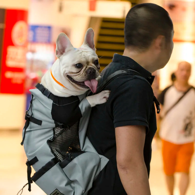 Sac de transport respirant pour chiens de grande taille Golden Retriever Bulldog Sac à dos réglable pour gros chiens Sacs de voyage pour animaux de compagnie Produits pour animaux de compagnie