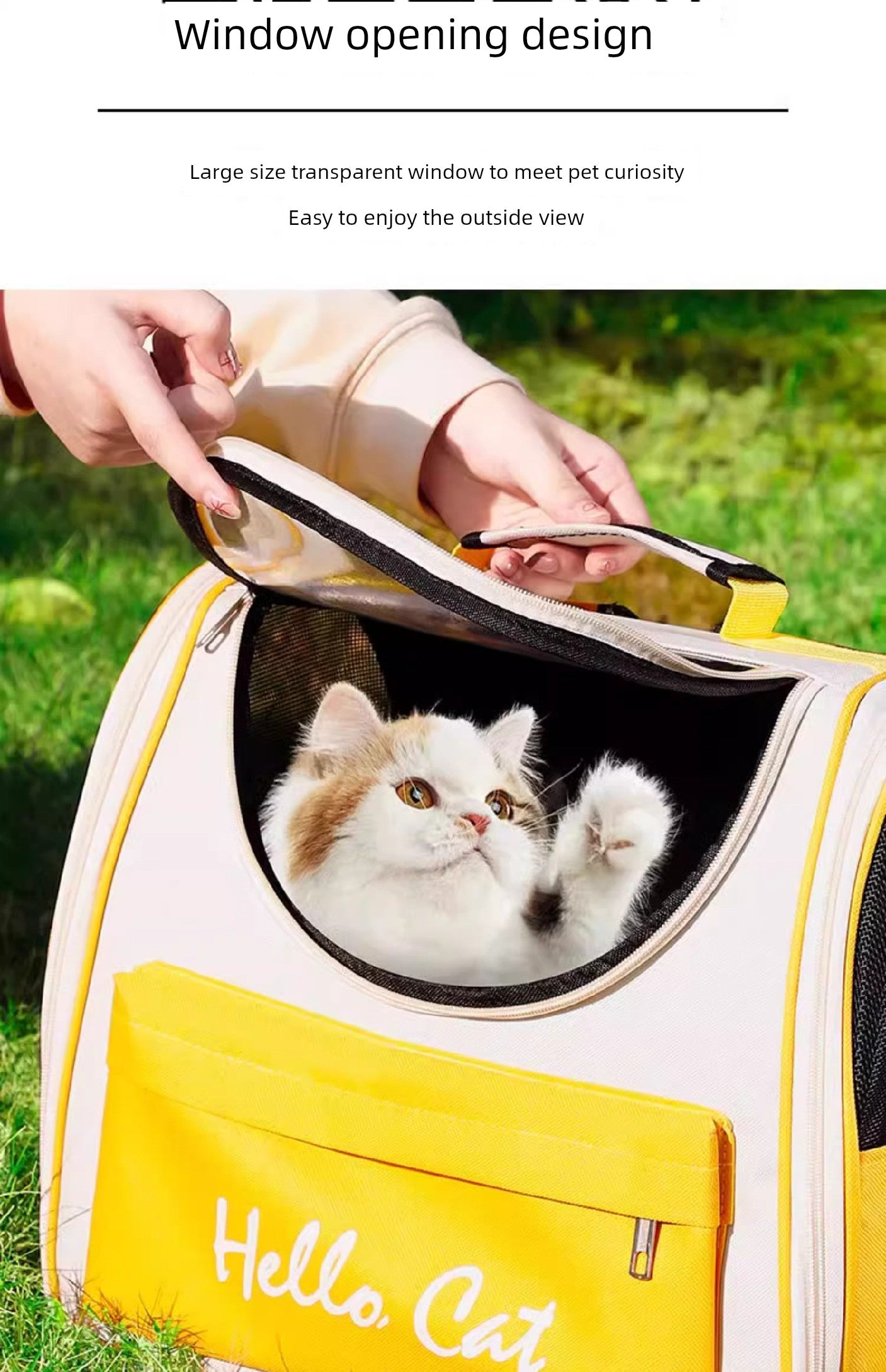 Sac à bandoulière portable transparent neutre pour chat toute l'année