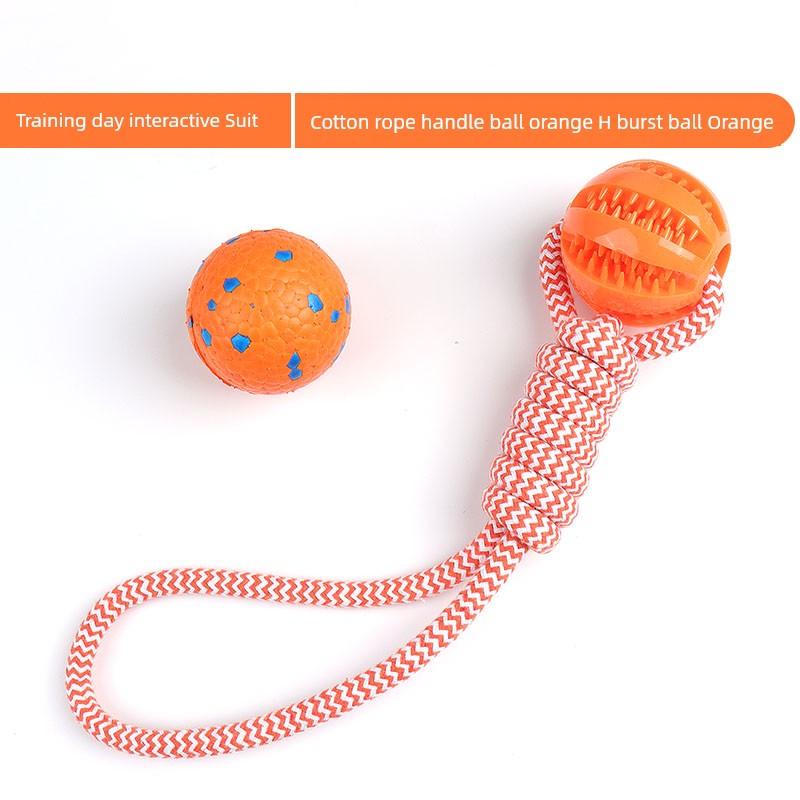 Interactive Dog with Tetherball Pet Supplies