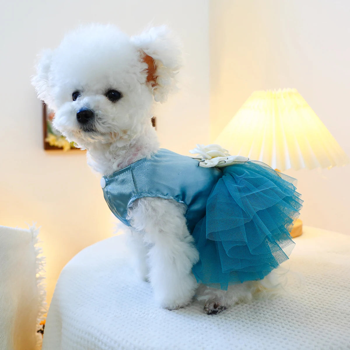 1PC Pet Clothing Cat Spring/Summer Blue Tank Top Bow Princess Dress Traction Buckle Suitable for Small and Medium sized Dogs