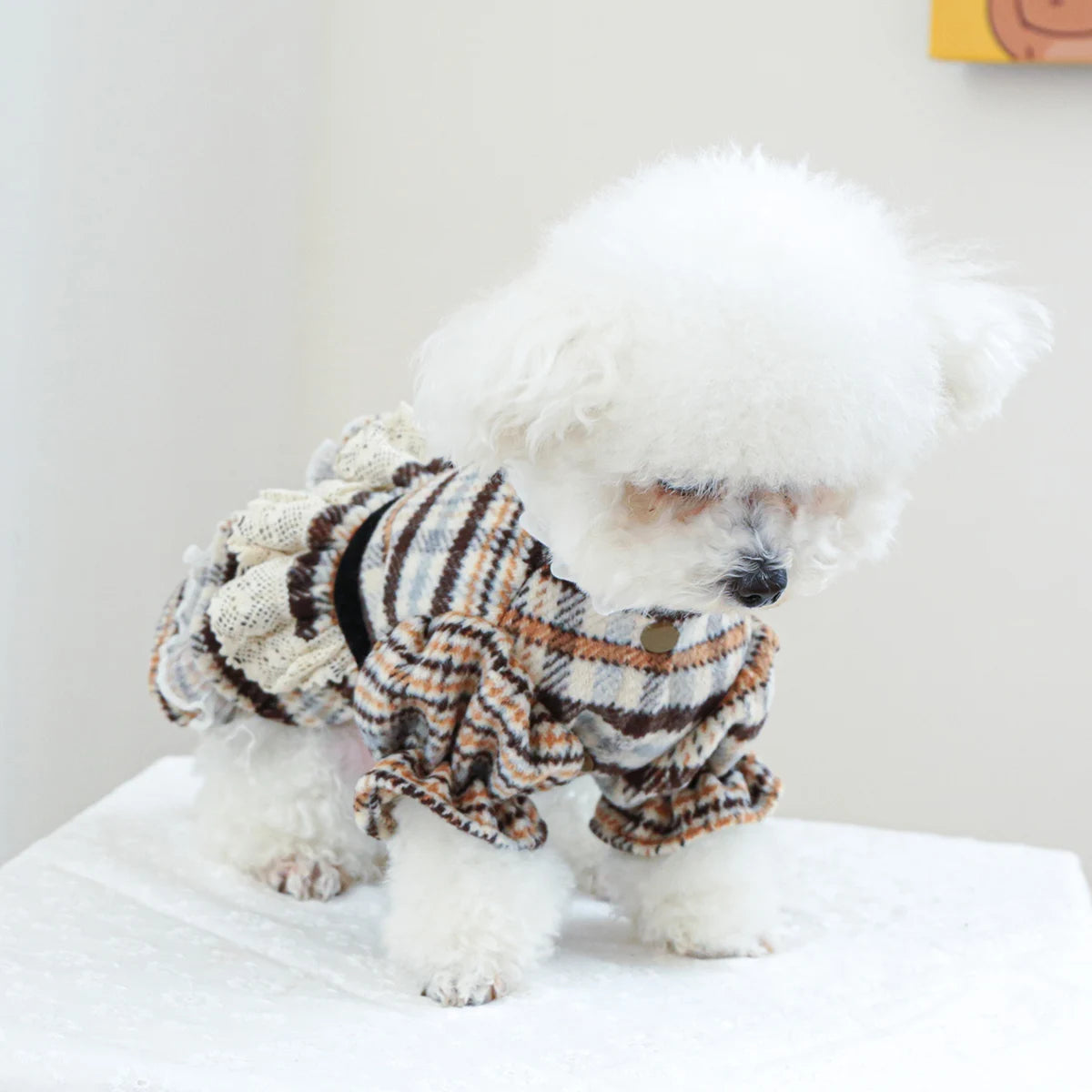 1PC Pet Clothing Spring and Autumn Maillard Dress Wedding Princess Dress Suitable for Small and Medium sized Dogs