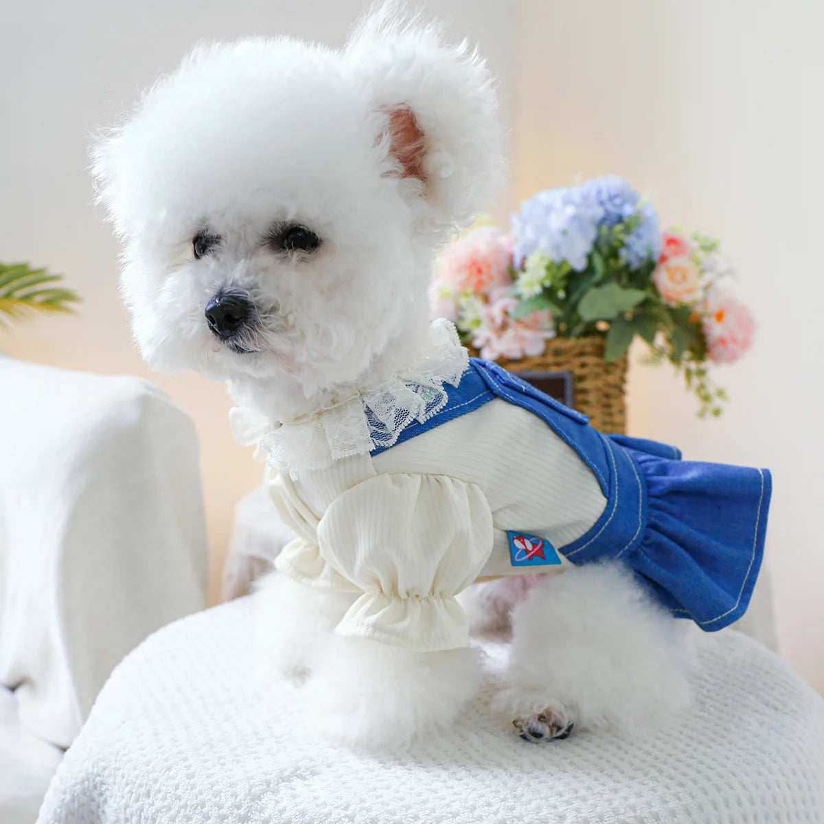 1PC Pet Clothing Spring and Autumn Heartbeat Cowboy Princess Skirt Suitable for Small and Medium sized Dogs