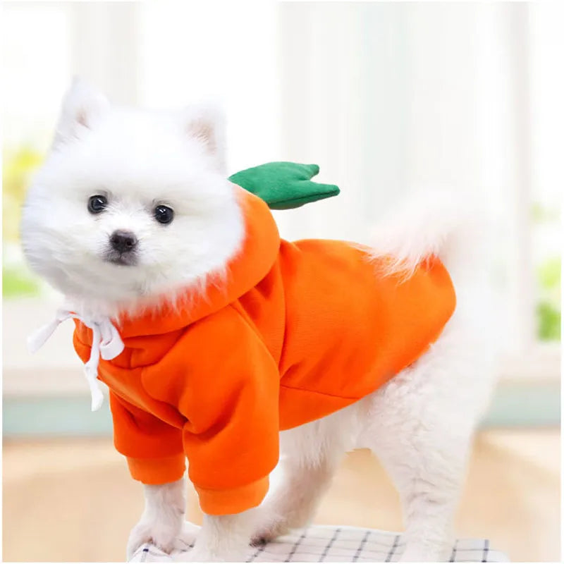 Cute Fruit Dog Clothes for Small Dogs Hoodies Warm Fleece Pet Clothing Puppy Cat Costume Coat for Puppy Small Medium Dogs Cats