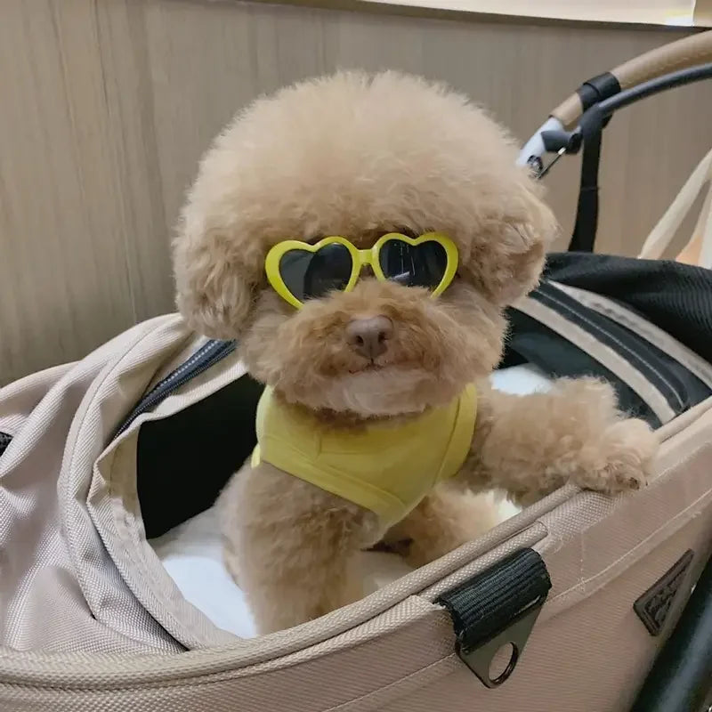 Lunettes de soleil pour chien et chat, en forme de cœur, avec nœuds, jolies lunettes de soleil pour animaux de compagnie, chiens, chats, yorkshire, peluche, accessoires de décoration pour photos