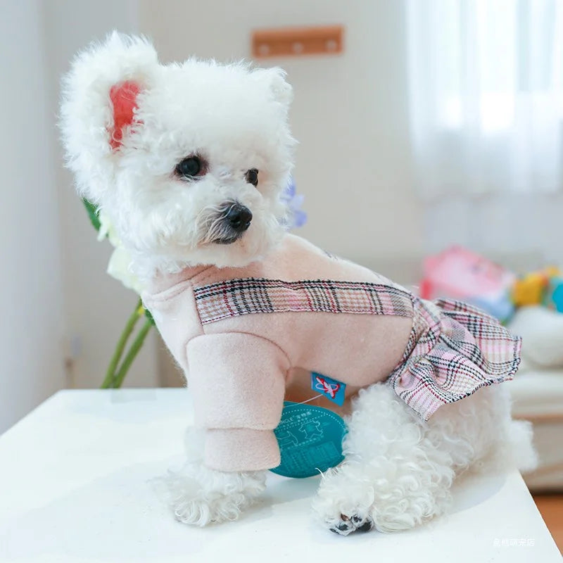 1PC Pet Clothes Cat Autumn/Winter Thick Bear Hug Pink Plaid Princess Dress Suitable for Small and Medium Dogs