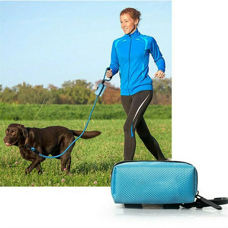 Distributeur de sacs biodégradables pour déjections de chien, organiseur de sacs poubelles pour animaux de compagnie, chiots et chats, support de sac pour les voyages