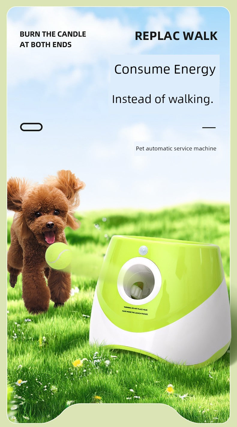 Transmitter Automatic Ball Throwing Pet Dog