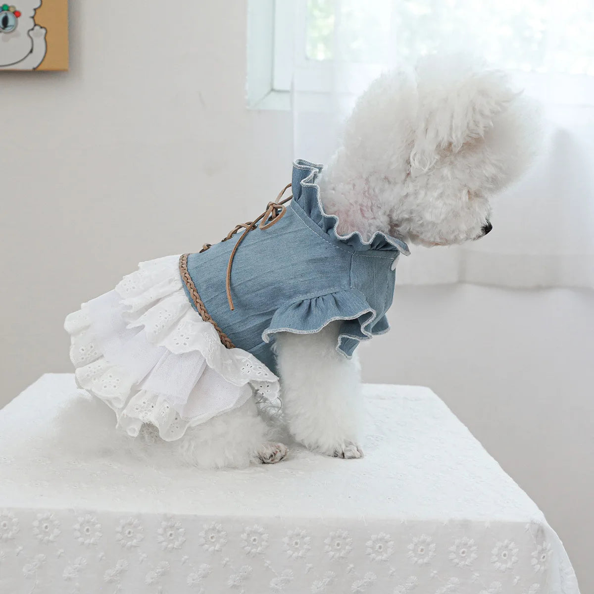 Pet Cowboy Lace Coat for Dogs Cats Ponds Dresses Cute Cowboy Skirts Dog Dresses for Small Dogs Puppy Clothes for Small Dogs