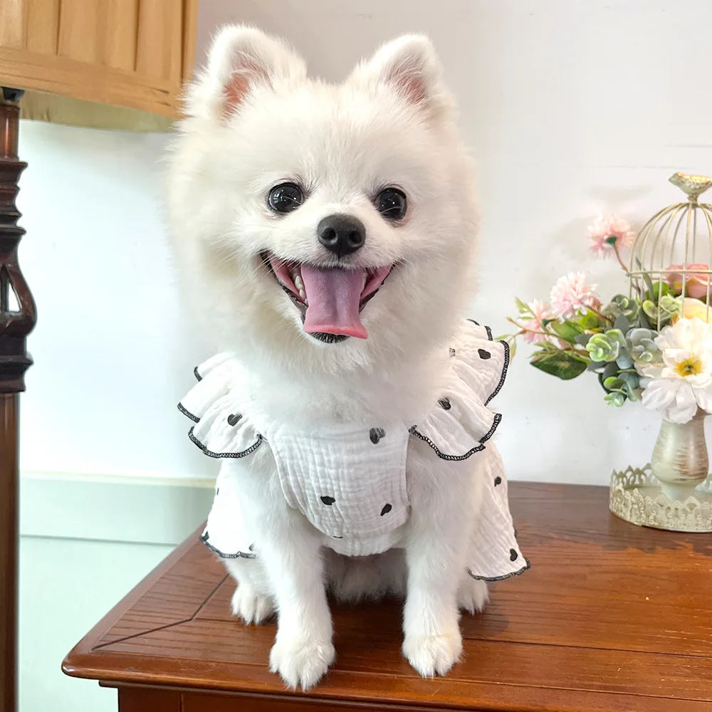 Cute Dog Clothes for Small Dogs Summer Dog Princess Dress Breathable Puppy Clothing Fashion Cat Wedding Skirt Pet Thin Dresses