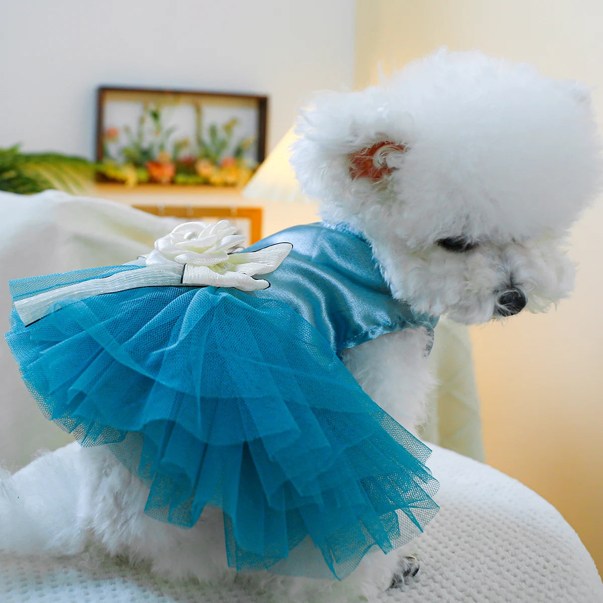 1PC Pet Clothing Cat Spring/Summer Blue Tank Top Bow Princess Dress Traction Buckle Suitable for Small and Medium sized Dogs