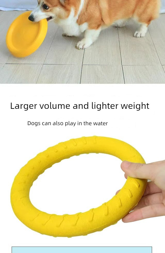 Ring Toy Border Training Dog