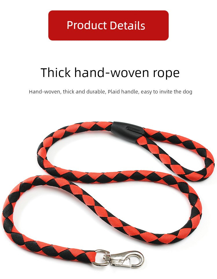 Medium-Sized Dog Hand Holding Rope