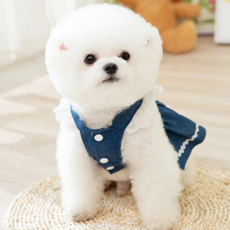 Princess Style Dog Dress Pet Denim Dog Skirt for Small Dog Summer Puppy Wedding Dress Cat Suspender Skirt Chihuahua Dog Clothes