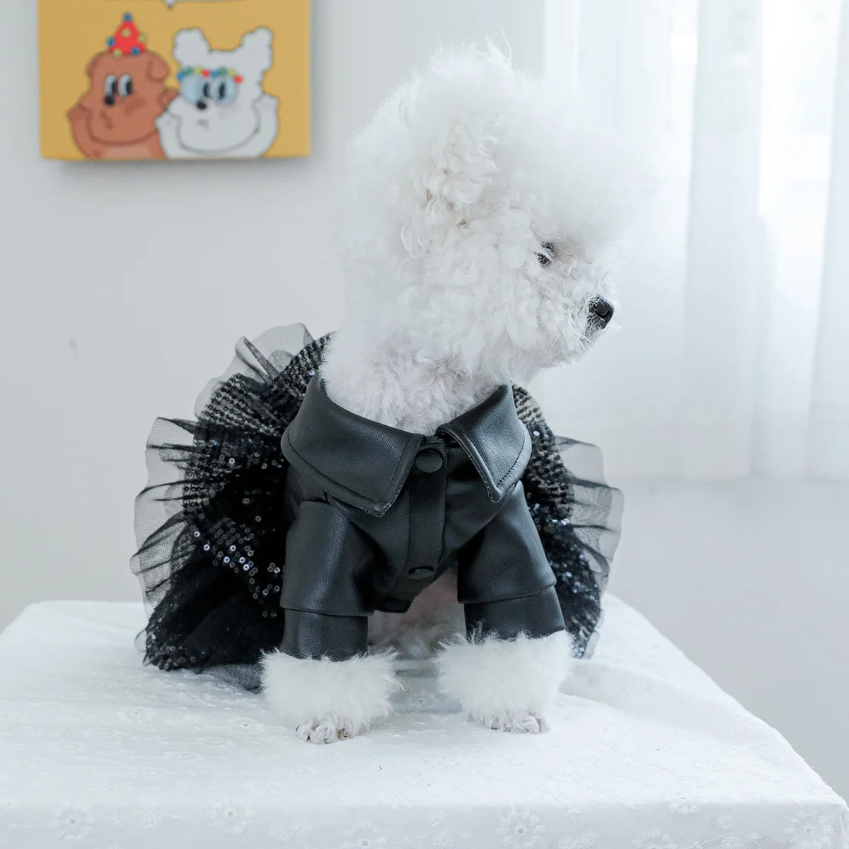 Autumn punk sequin leather Dog Clothing  princess pet dress less dog dress for small to medium dog  Chihuahua Yorkies Dress