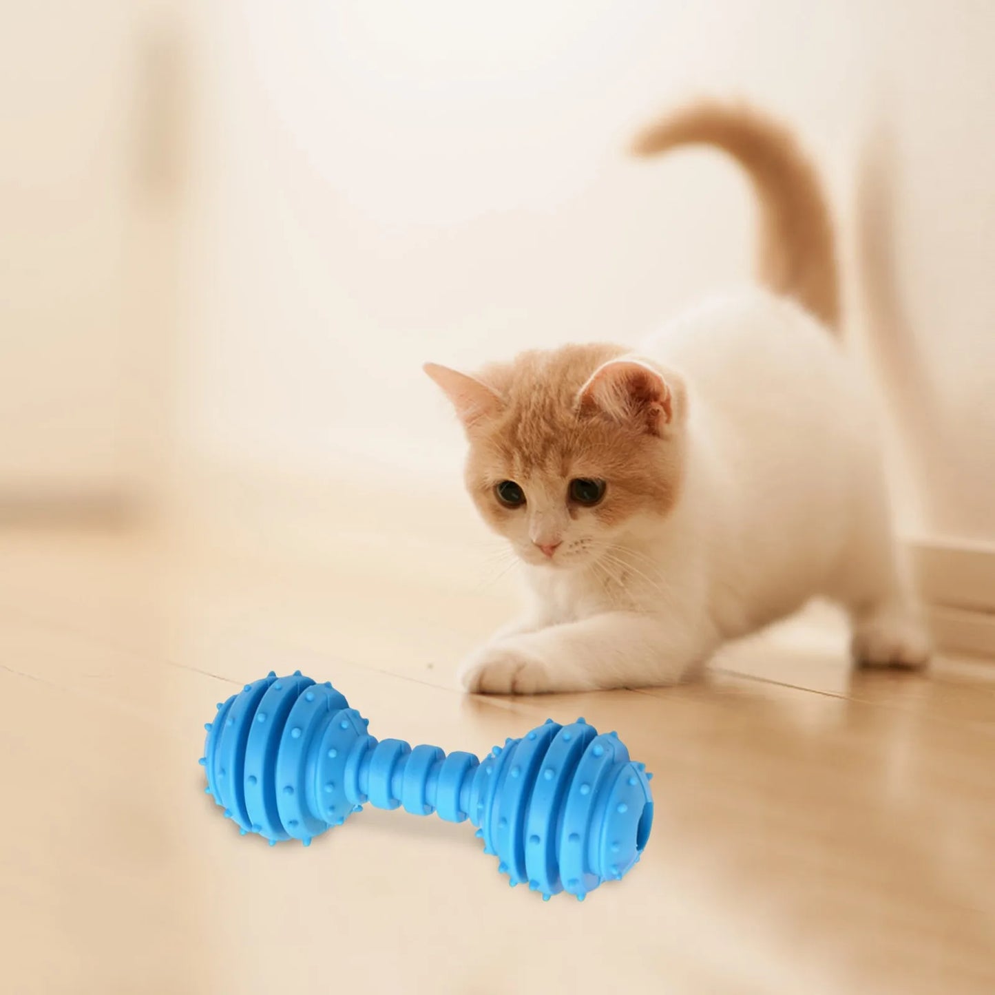 Heavyweight Durable Rubber Dog Chew Toys Dog Chew Bones Long Lasting Dumbbell Shape Green Blue Pink Cat Accessories