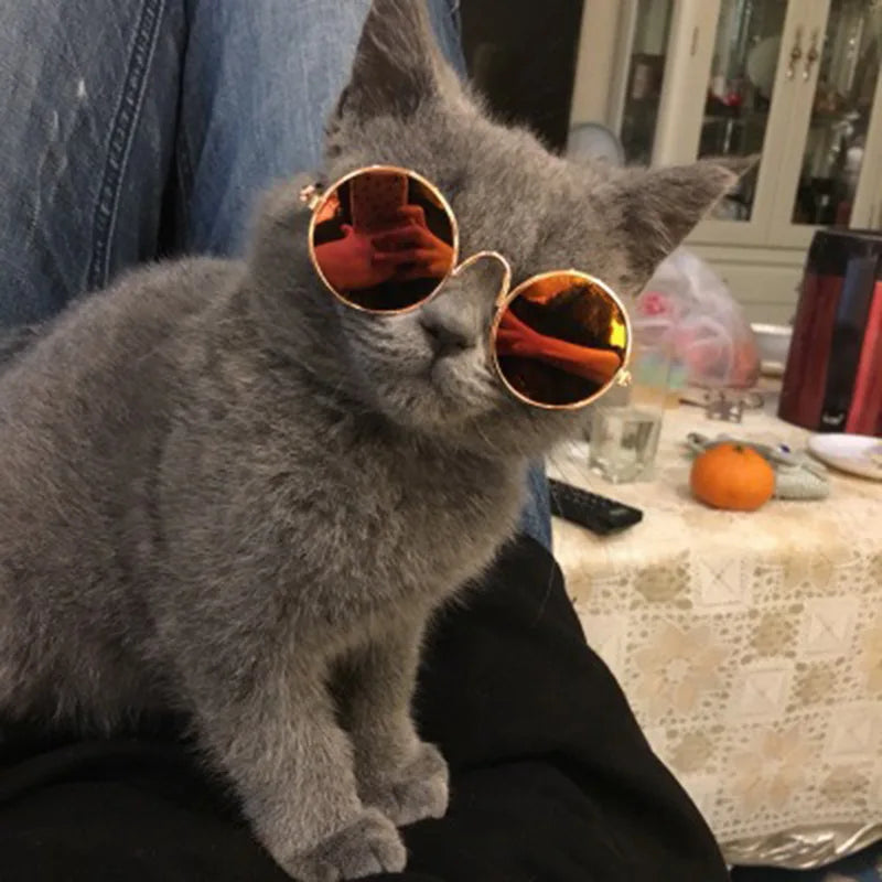 Handsome Pet Cat Glasses Eye-wear Sunglasses For Small Dog Cat Pet Photos Props Accessories Top Selling Pet Products