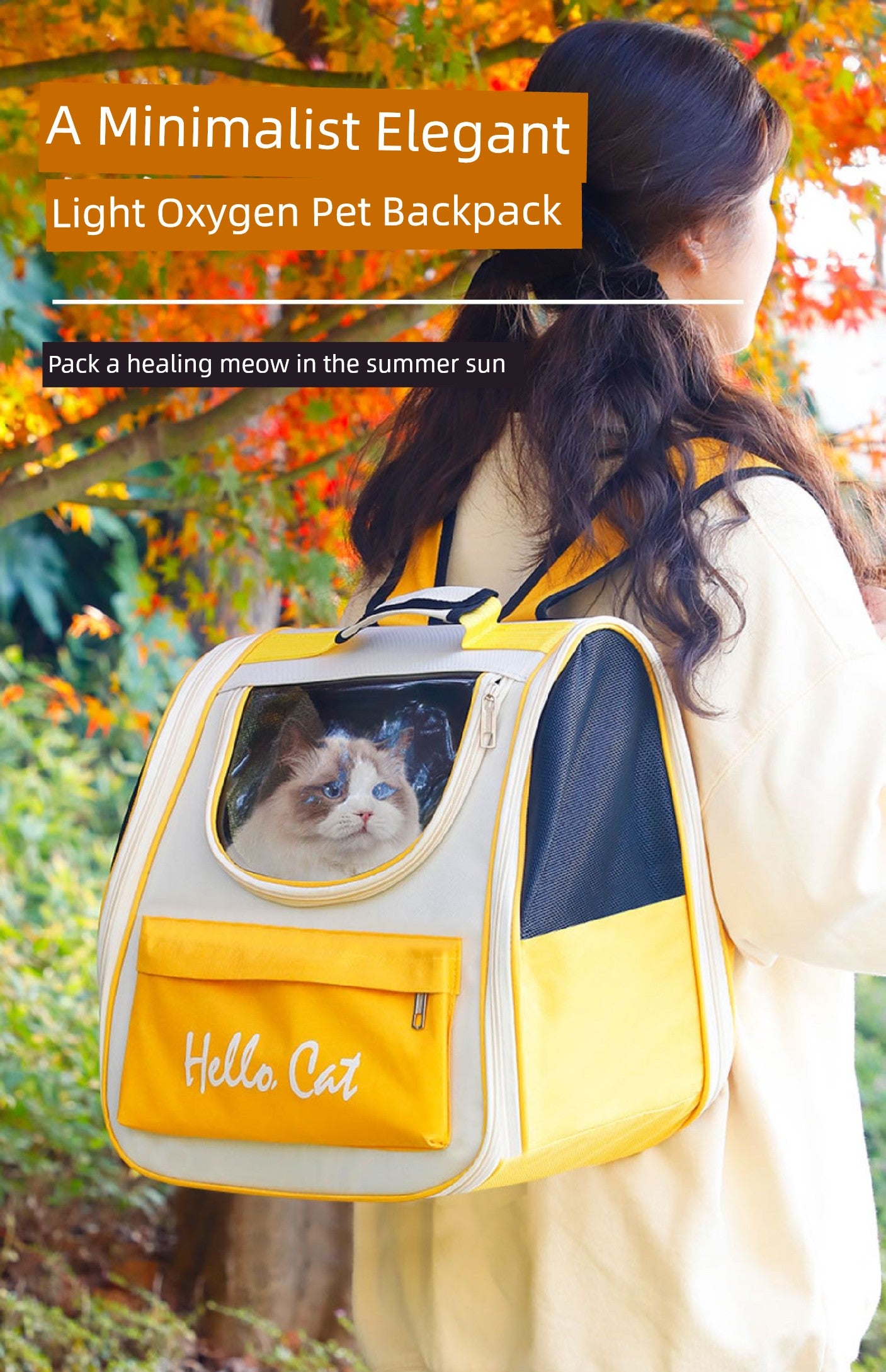 Space Capsule All Year Round Portable Clear Pet Supplies Cat Bag