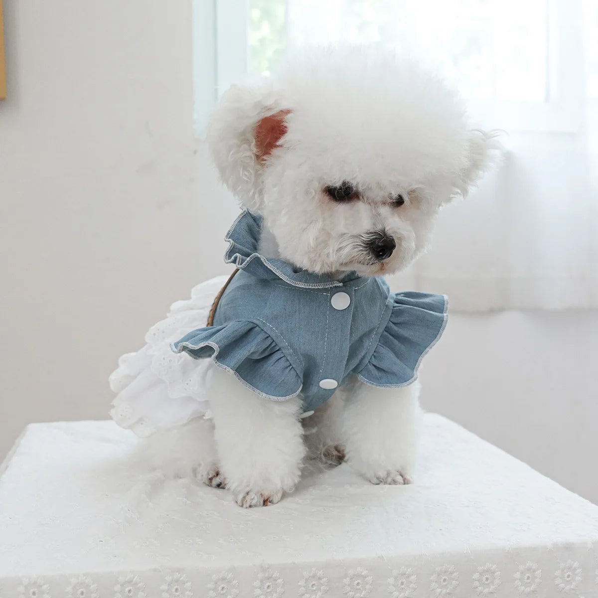 Pet Cowboy Lace Coat for Dogs Cats Ponds Dresses Cute Cowboy Skirts Dog Dresses for Small Dogs Puppy Clothes for Small Dogs