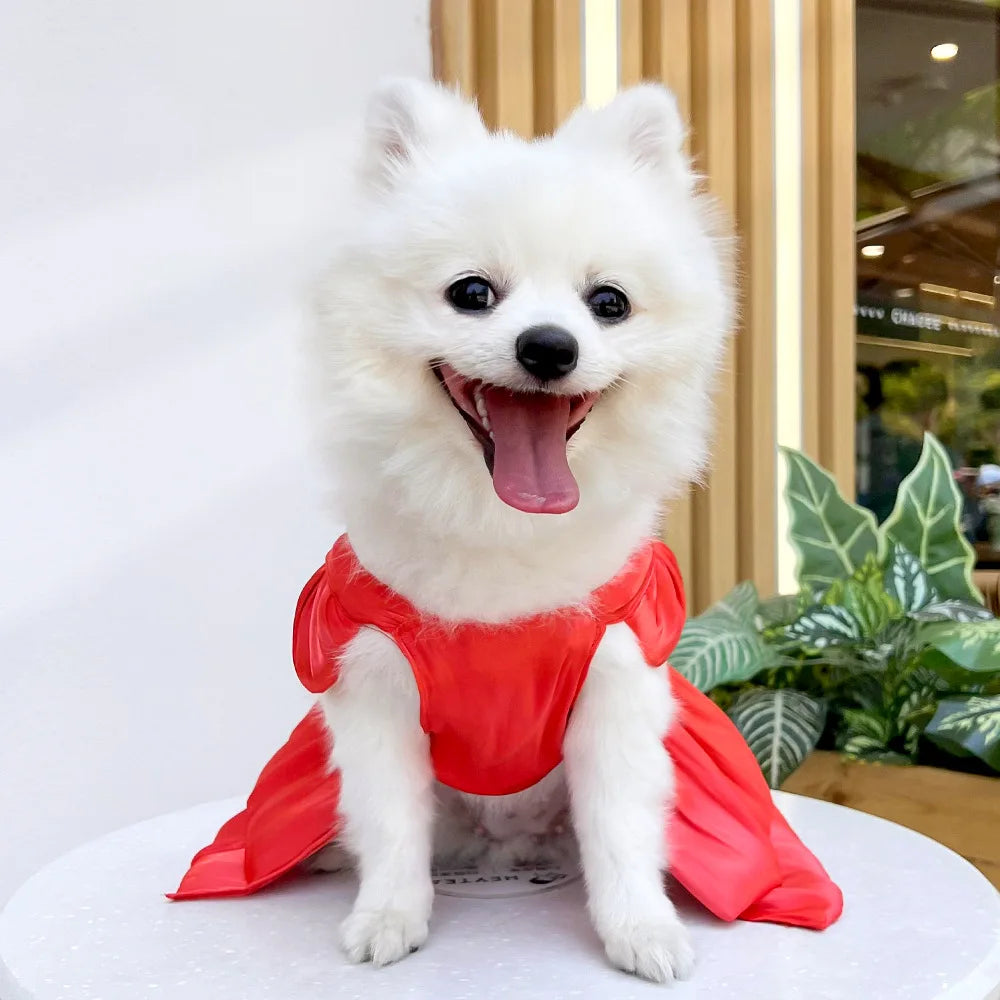 Pet Wedding Dress Dress Bow Skirt Dog Cat Clothing Pull Teddy Bears Spring/Summer Puppy Clothes Dog Clothes for Small Dogs